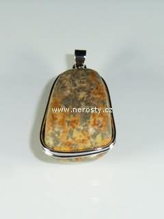 petrified wood, pendant