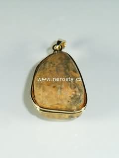 petrified wood, pendant