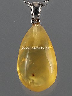 amber, pendant