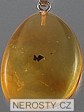 amber, pendant